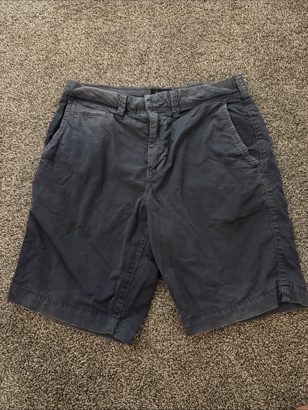 American Eagle Outfitters Men's Dark Blue cargo shorts